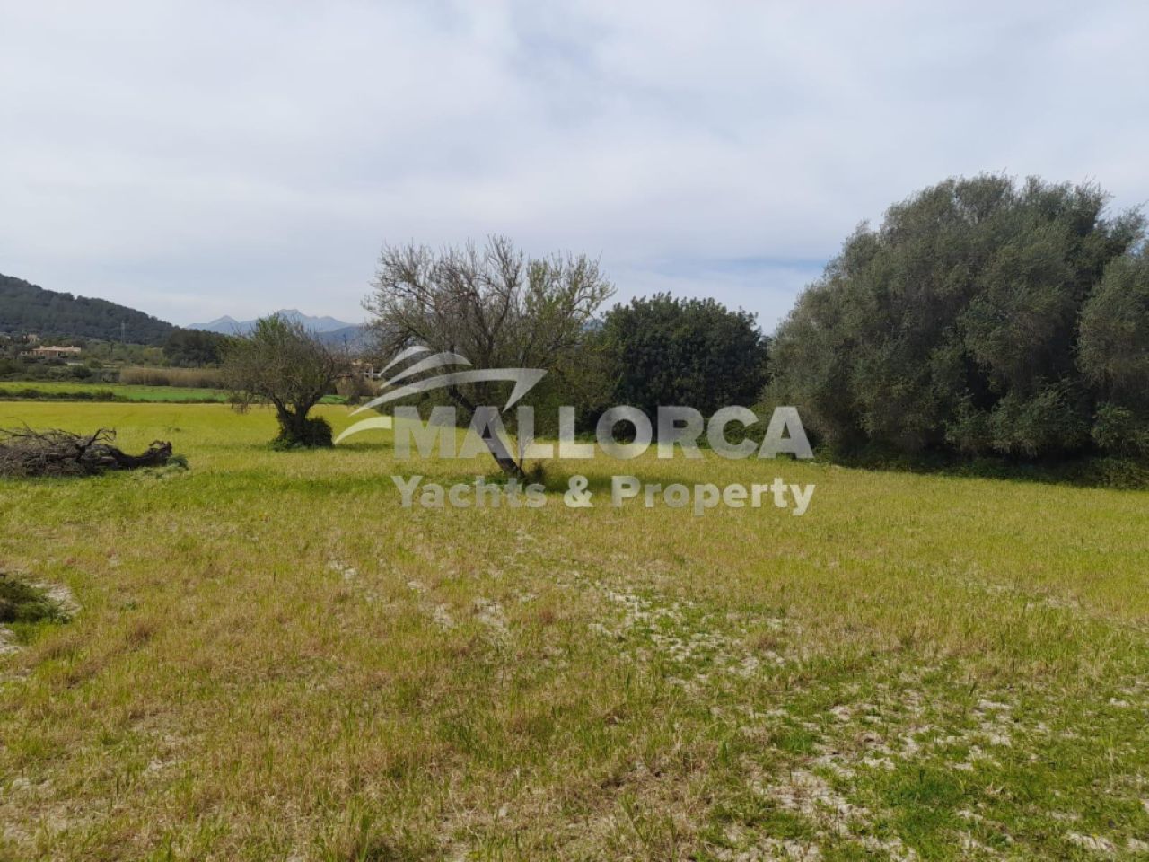 Terrenos en venta en Alcudia