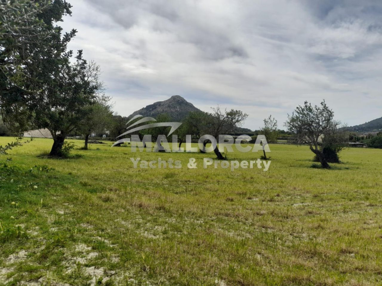 Terrenos en venta en Alcudia