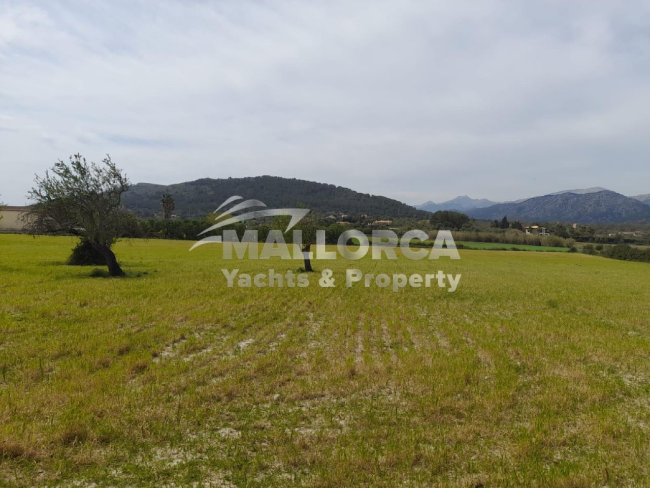 Terrenos en venta en Alcudia