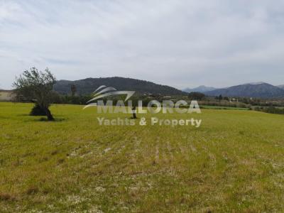 Terrenos en venta en Alcudia