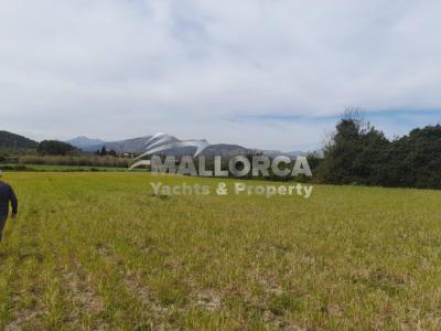 Terrenos en venta en Alcudia