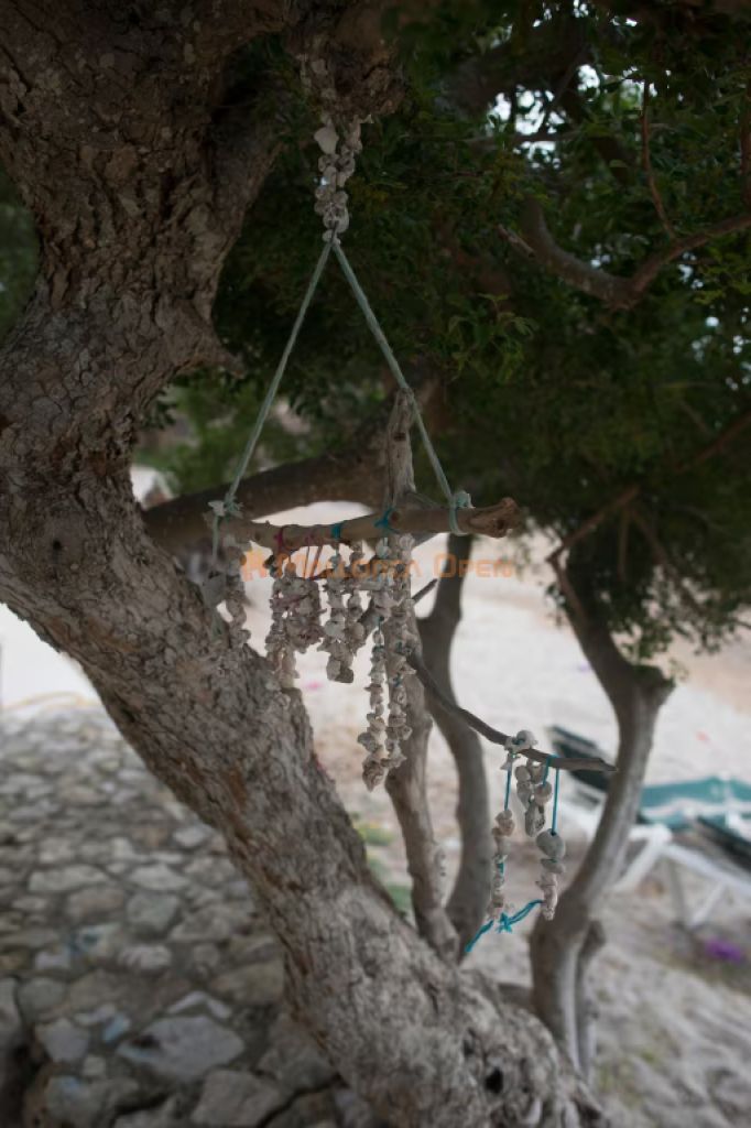 Haus direkt am Strand in Cala Bona