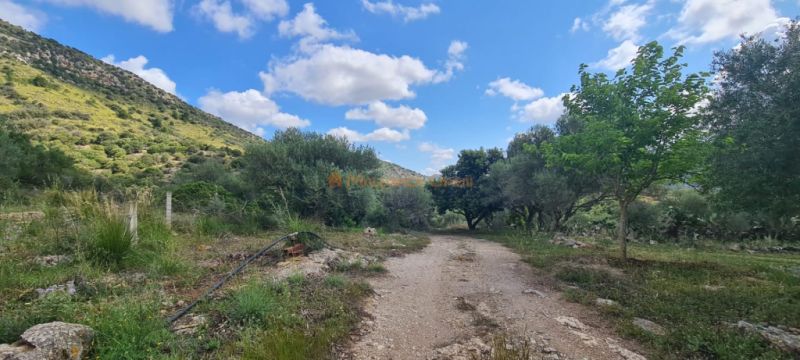 House for sale in a very quiet area 4km from Sant Llorenç