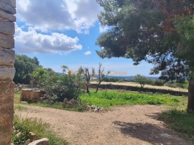 House for sale in a very quiet area 4km from Sant Llorenç