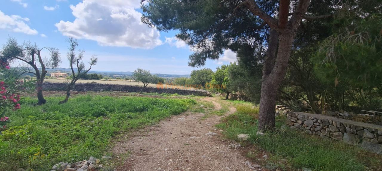 House for sale in a very quiet area 4km from Sant Llorenç