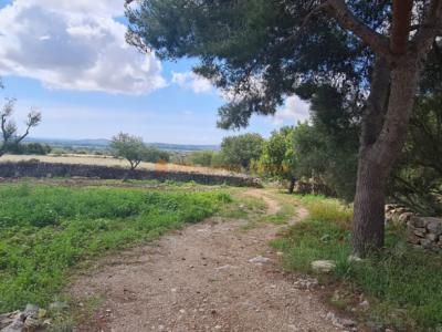 House for sale in a very quiet area 4km from Sant Llorenç