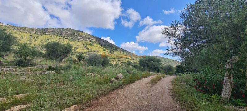 House for sale in a very quiet area 4km from Sant Llorenç