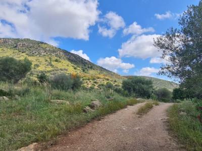 House for sale in a very quiet area 4km from Sant Llorenç