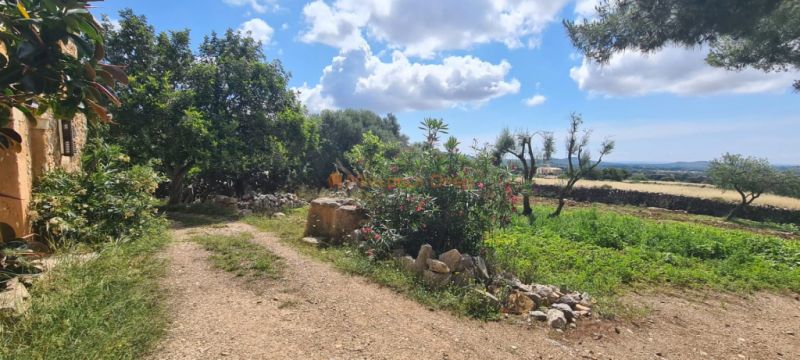 House for sale in a very quiet area 4km from Sant Llorenç