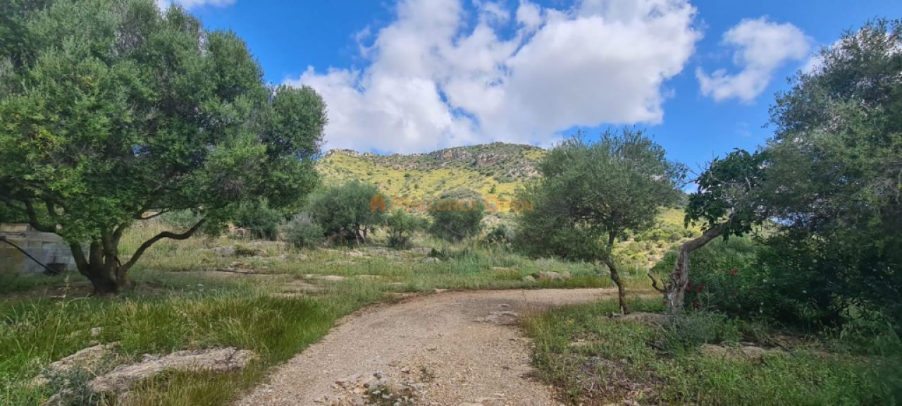 House for sale in a very quiet area 4km from Sant Llorenç