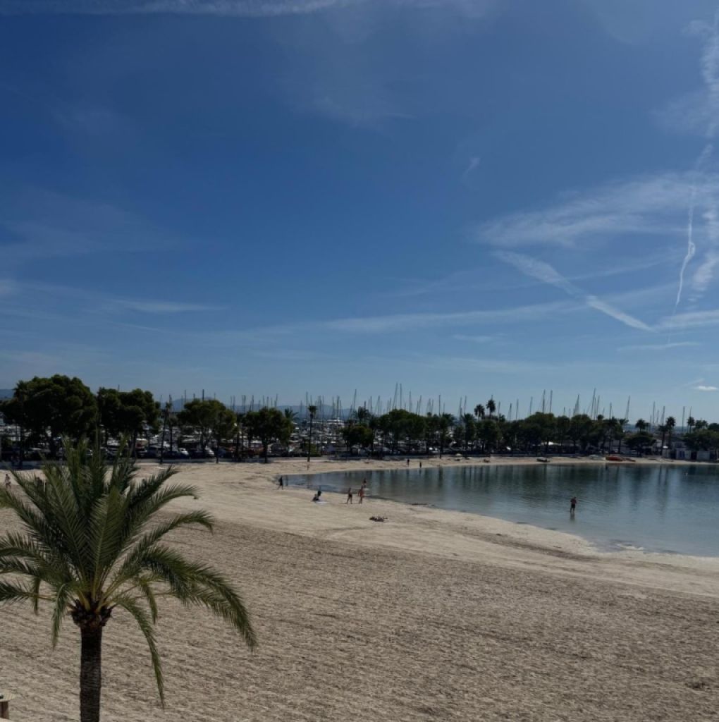 Helles Studio mit Meerblick in Port d’Alcúdia – offizielle Ferienvermietungslizenz