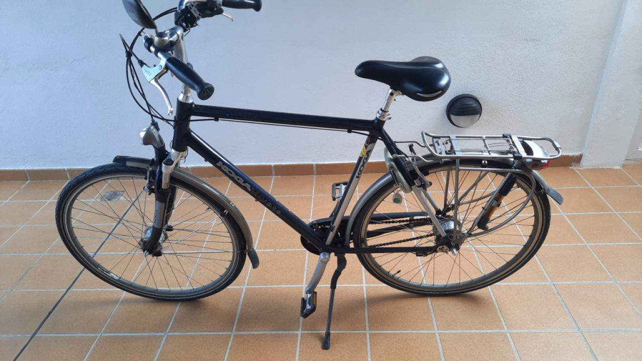 Herren Fahrrad 7 Gang, Can Pastilla