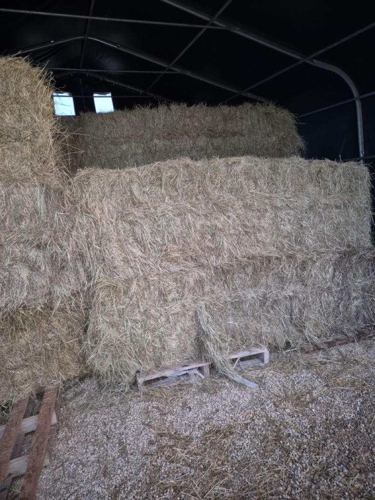Heu 450 kg ballen aus Frankreich