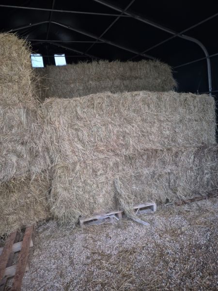 Heu 450 kg ballen aus Frankreich