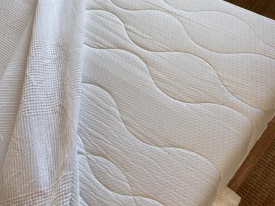 Cama con dosel y sofá a juego