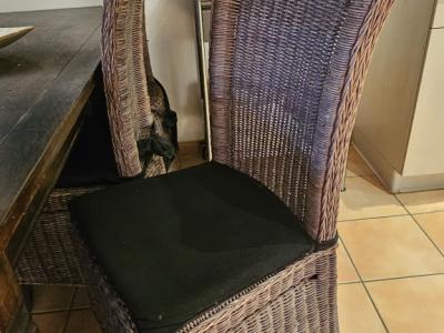 Solid wooden table with 6 wicker chairs