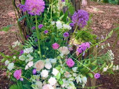 House Sitting für die Saison 2026 erwünscht?