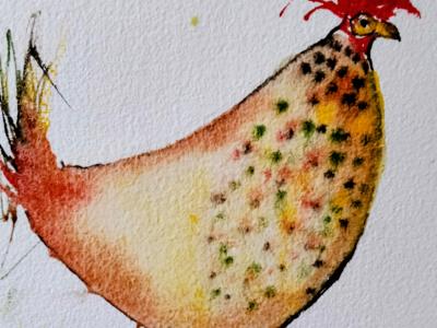 Huhn in Aquarell