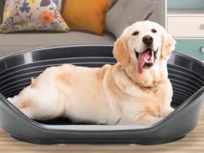 Hygienisches Hundebett, Hundeschale, Ferplast Korb Siesta Deluxe schwarz aus Italien, neuwertig