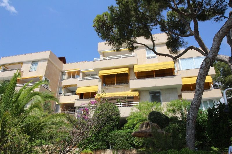 Illetas , first line