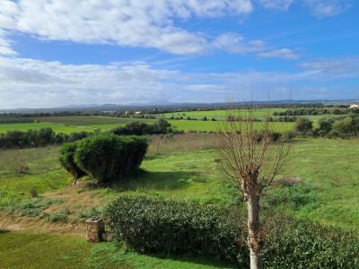 Impressive finca with guest wing, heating, pool near Felanitx - Petra -- F 64