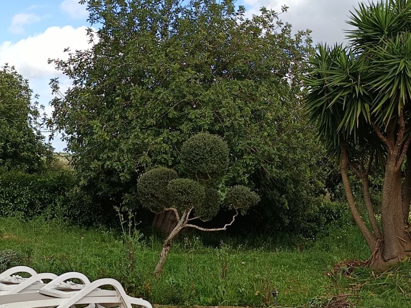 Inselweiter Gärtner