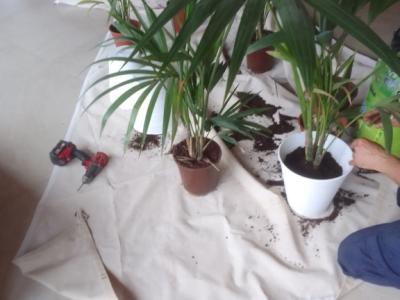 Property Maintenance Mallorca