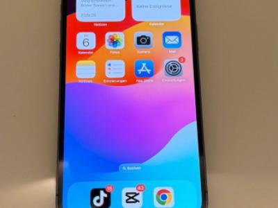 IPhone 12 Pro Max 128 GB Graphit Schwarz