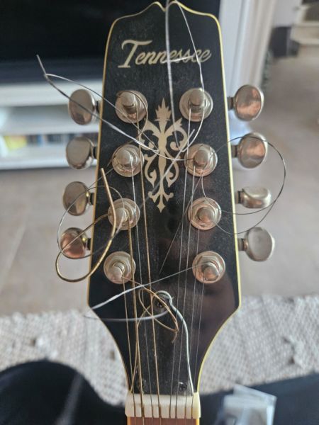 Irish Bouzouki – Tennessee – with Hardcase