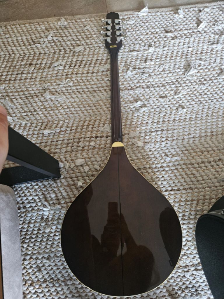Irish Bouzouki – Tennessee – with Hardcase