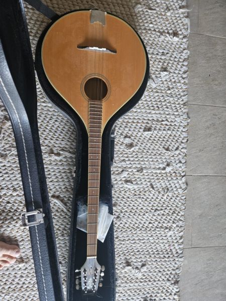 Irish Bouzouki – Tennessee – with Hardcase