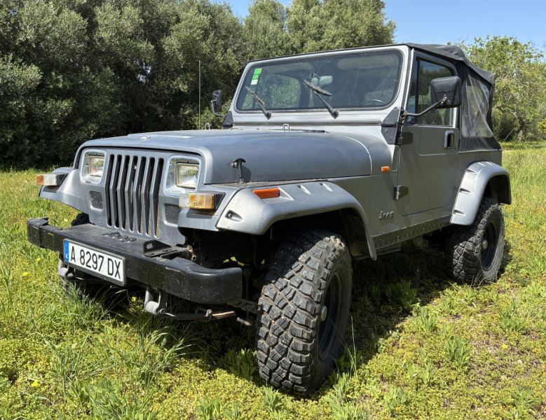 Jeep Wrangler, das perfekte Insel-Fahrzeug
