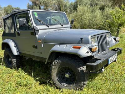 Jeep Wrangler, das perfekte Insel-Fahrzeug