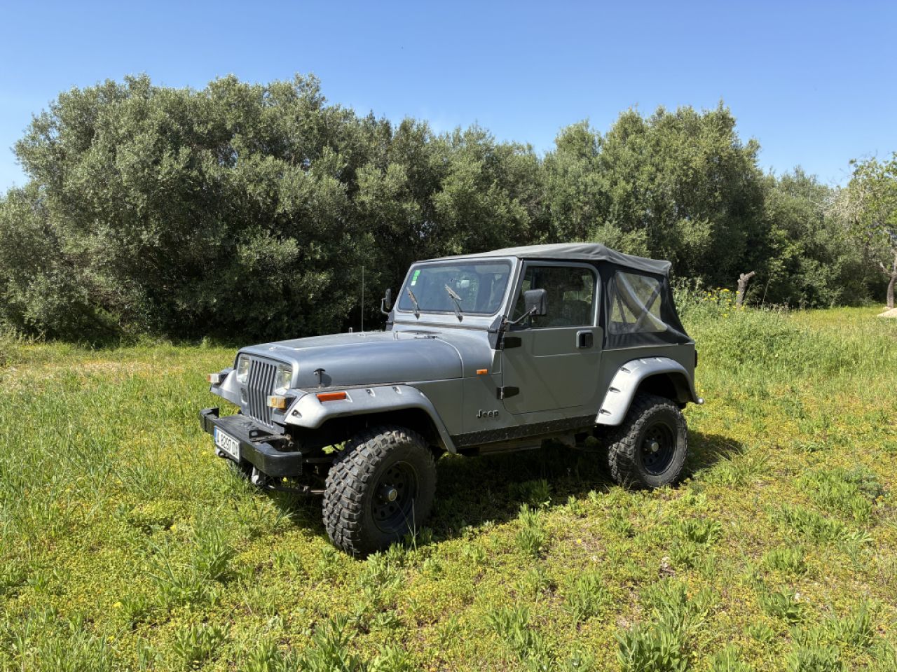 Jeep Wrangler, das perfekte Insel-Fahrzeug