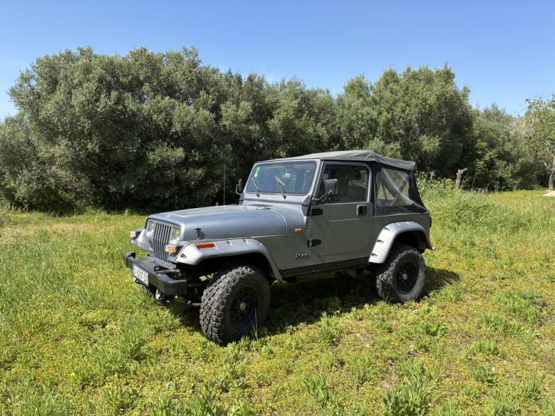 Jeep Wrangler, das perfekte Insel-Fahrzeug