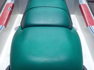 Jet Ski Sea Doo GTI Bombardier Seadoo m. Trailer