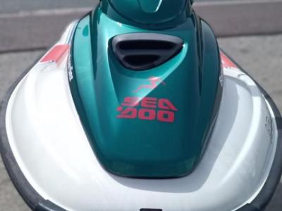 Jet Ski Sea Doo GTI Bombardier Seadoo m. Trailer