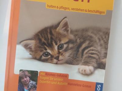 Kätzchen: Halten & Pflegen, Verstehen & Beschäftigen