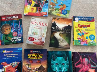 Kinderbücher ninjago oder animox