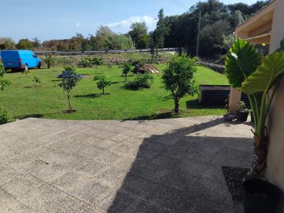 Kleiner Garten mit Gartenhaus vor Arta