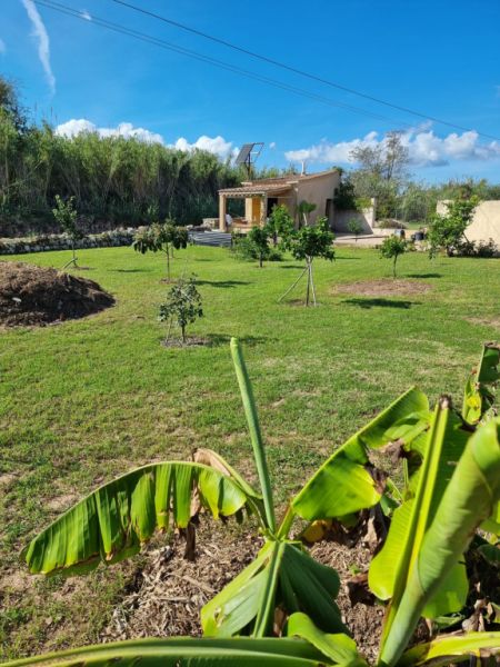 Kleiner Garten mit Gartenhaus vor Arta