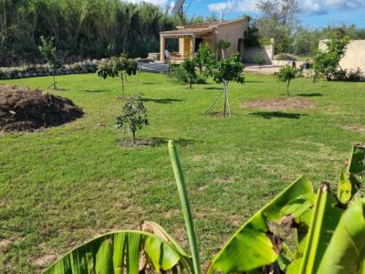 Kleiner Garten mit Gartenhaus vor Arta