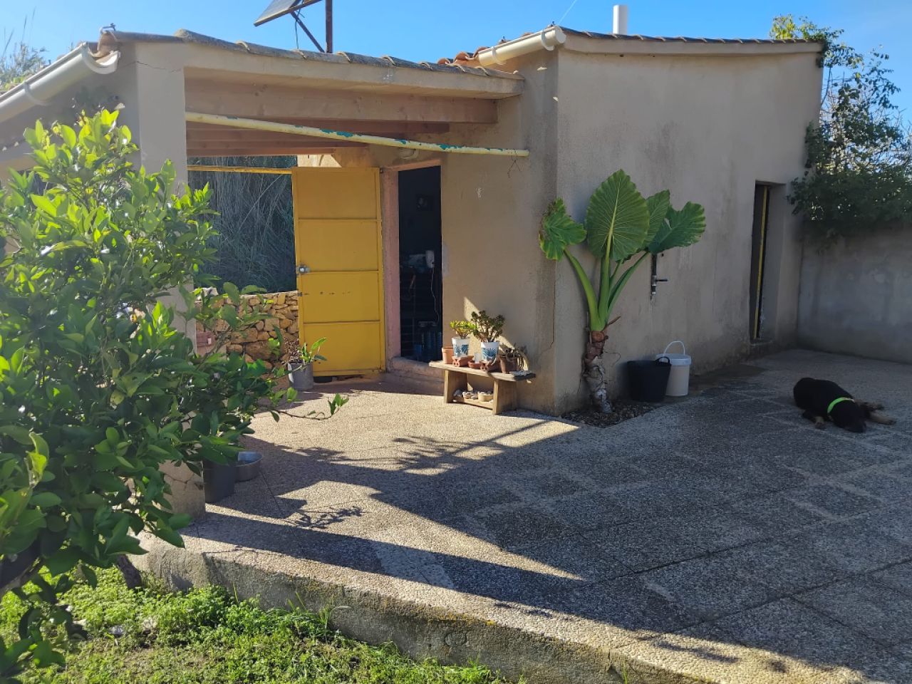 Kleiner Garten mit Gartenhaus vor Arta