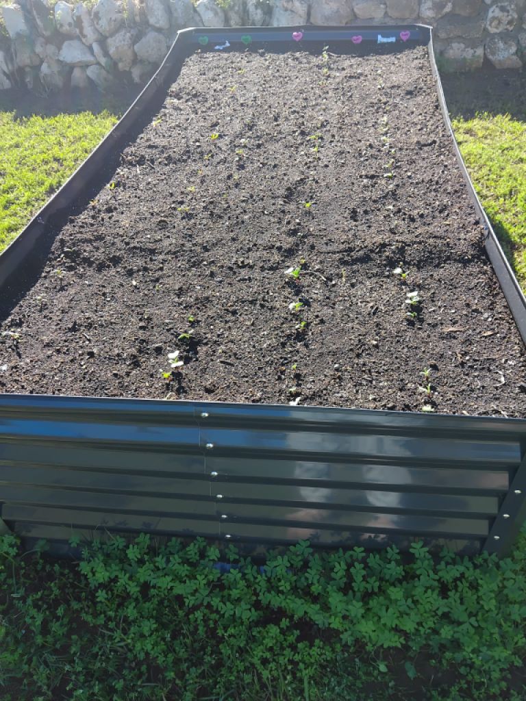 Kleiner Garten mit Gartenhaus vor Arta