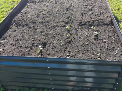 Kleiner Garten mit Gartenhaus vor Arta