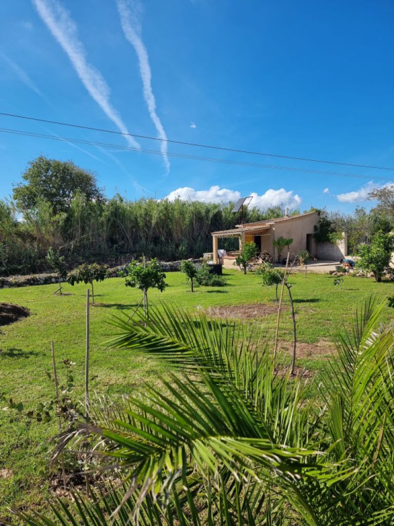 Kleiner Garten mit Gartenhaus vor Arta
