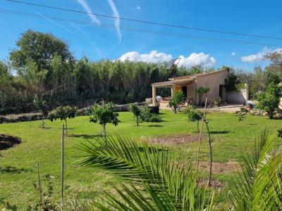 Kleiner Garten mit Gartenhaus vor Arta