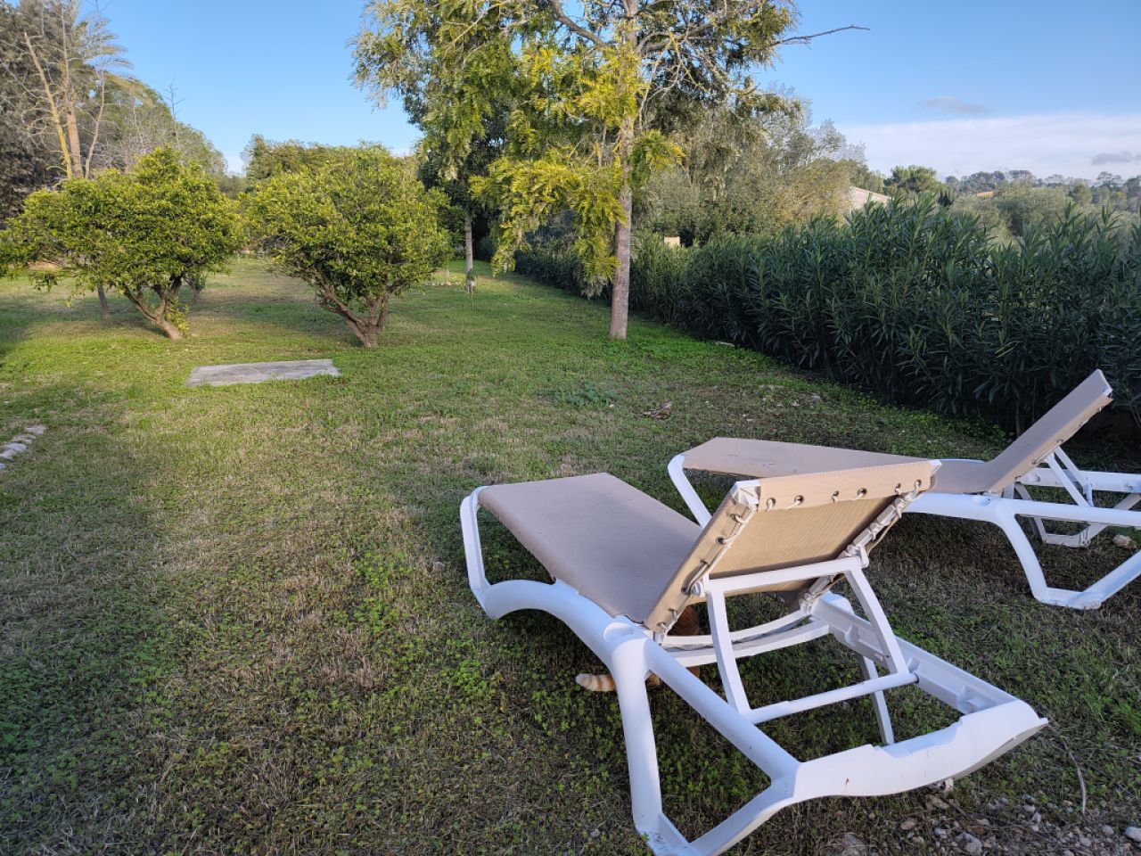 Kleines Landhaus zu vermieten in Puntiró (Palma)