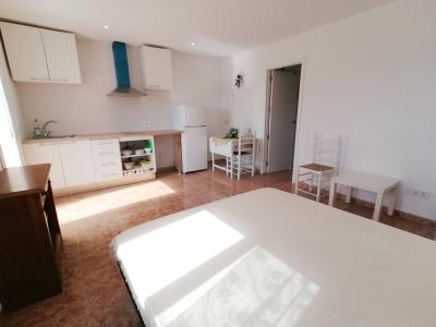 Small renovated studio with terrace in the countryside near Santanyi -- AP 63