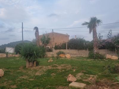 Se vende molino completamente restaurado entre Cas Concos y Felanitx